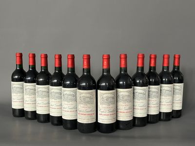 six bottles of red wine lined up in a row