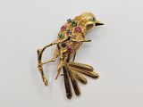 an image of a gold bird broochle on a white background
