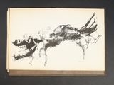 an image of a drawing of a bird on a piece of paper