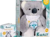 un koala en peluche dans une boîte, avec un bandana autour du cou