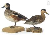 two ducks that are standing on a rock