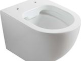 the toilet bowl is white and has no lid on it