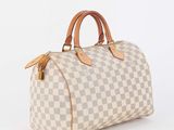louis vuitton speedy speedy bag damier canvas