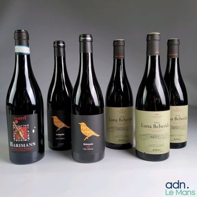 plusieurs bouteilles de vin sont alignées sur une table
