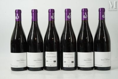 six bouteilles de vin sont alignées sur une table