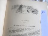 un livre ouvert sur lequel figure le dessin d'une femme et d'un chien