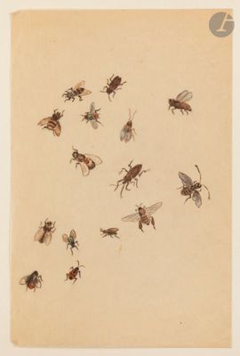 un dessin représentant un groupe de mouches sur une feuille de papier