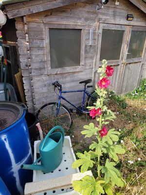 un vélo garé devant un abri, à côté d'une plante en pot