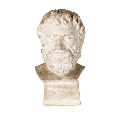 marble bust of a man with a beard on a white background
