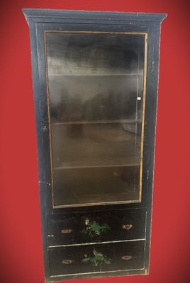 a black cabinet with a glass door and a plant growing out of it