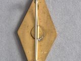 an image of a gold pin with a hook on it