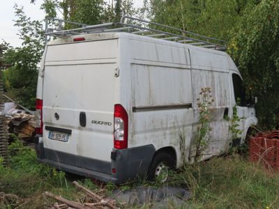 une camionnette blanche garée dans l'herbe