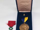 a medal in a case with a ribbon around it