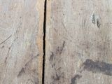 a cat that is sitting on a wooden floor