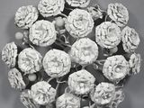 de nombreuses fleurs blanches qui se détachent sur un fond gris