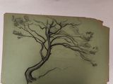 a drawing of a pine tree on a piece of paper