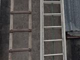 deux échelles posées contre un immeuble