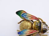an image of a close up of a insect on a white surface