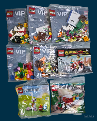 beaucoup de Lego qui se trouvent dans le sac