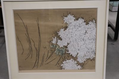 a picture of a picture of white flowers in a frame