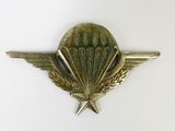an image of a badge with wings and a star on it