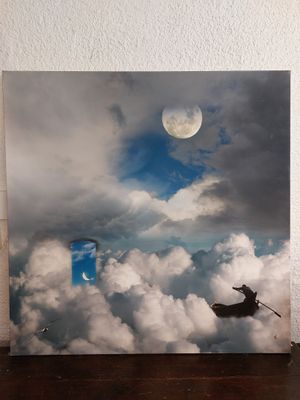 a picture of a painting of a cat flying in the sky