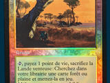 a picture of a card with a picture of a tree in the background