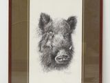 un dessin en noir et blanc représentant un cochon, dans un cadre