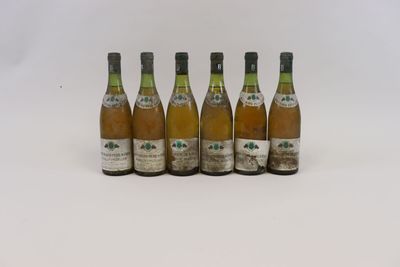 six bouteilles de vin sont alignées sur une surface blanche
