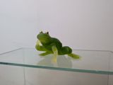 une grenouille verte perchée sur une étagère en verre