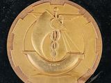 an image of a gold medal with a picture of a ship on it