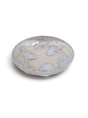 une image représentant une assiette blanche ornée de fleurs bleues