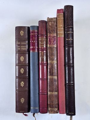 VEUILLOT (L.). Les odeurs de Paris.