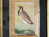 painting of a bird in a gold frame on a wall