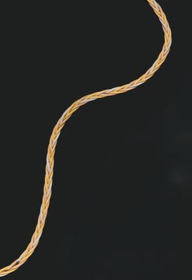 an image of a snake ' s tail on a black background
