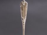 an antique silver spoon with a spoon handle on top of it
