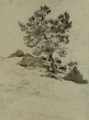 a drawing of a lone tree on a snowy hill