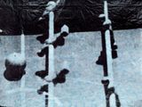 a black and white photo of a bunch of skis in the snow