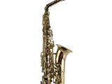 a close up of a saxophone on a white background