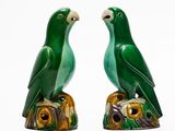 deux oiseaux verts perchés sur une souche d'arbre