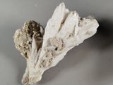 a piece of rock that has some kind of substance on it