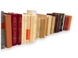 a row of books that are lined up on a shelf