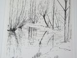 a black and white drawing of a pond in the woods