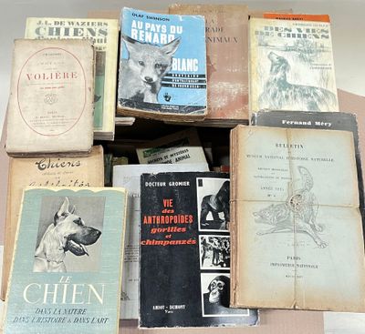 une pile de vieux livres posés sur une table
