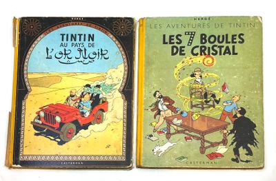 LES AVENTURES DE TINTIN - Hergé.