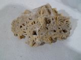 a small piece of rock that is on a white surface
