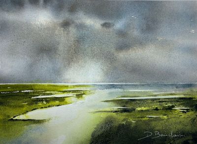 Dominique BOUCHAIN, Marais du Cotentin.