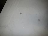 a small spider that is sitting on the floor