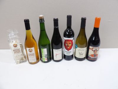 Alcools : 6 bouteilles dont 3 de vin rouge Côtes-du Rhône, D… - Photo 1
