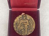 an image of a gold medal in a red box on a white surface